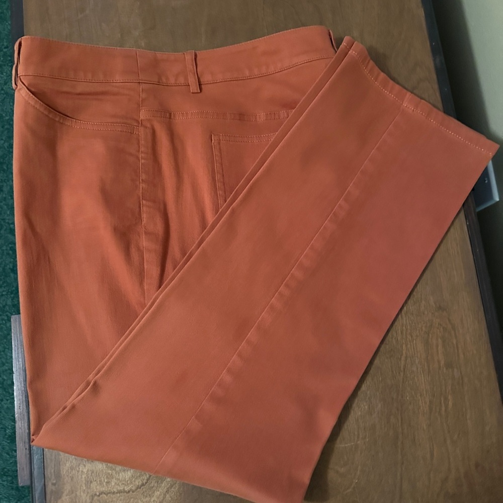 Doncaster Burnt Orange Pants - Size 14P